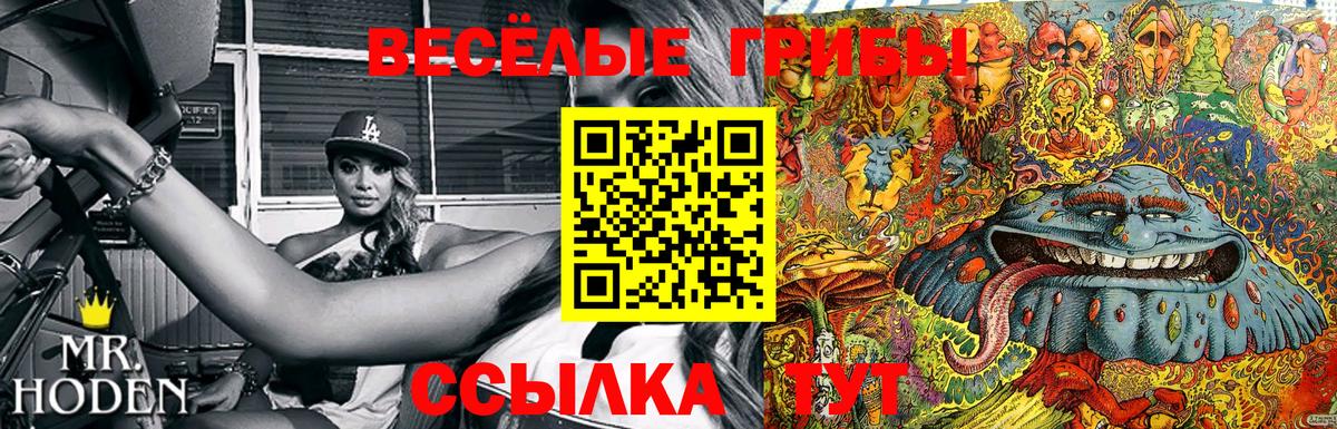 Псилоцибиновые грибы мухоморы  Вход с VPN  Усть-Илимск 