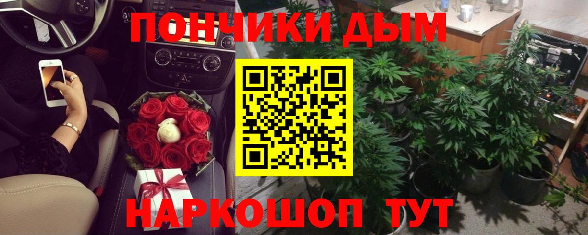 Бошки Шишки сатива Усть-Илимск